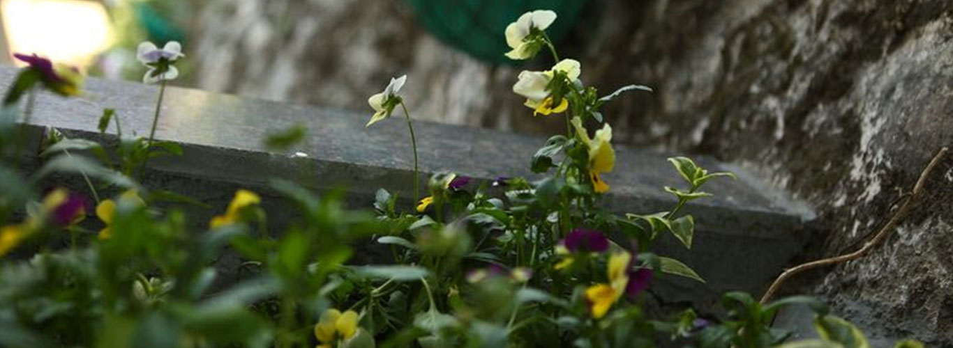 Hotel Devlok Primal - Slider Image 3